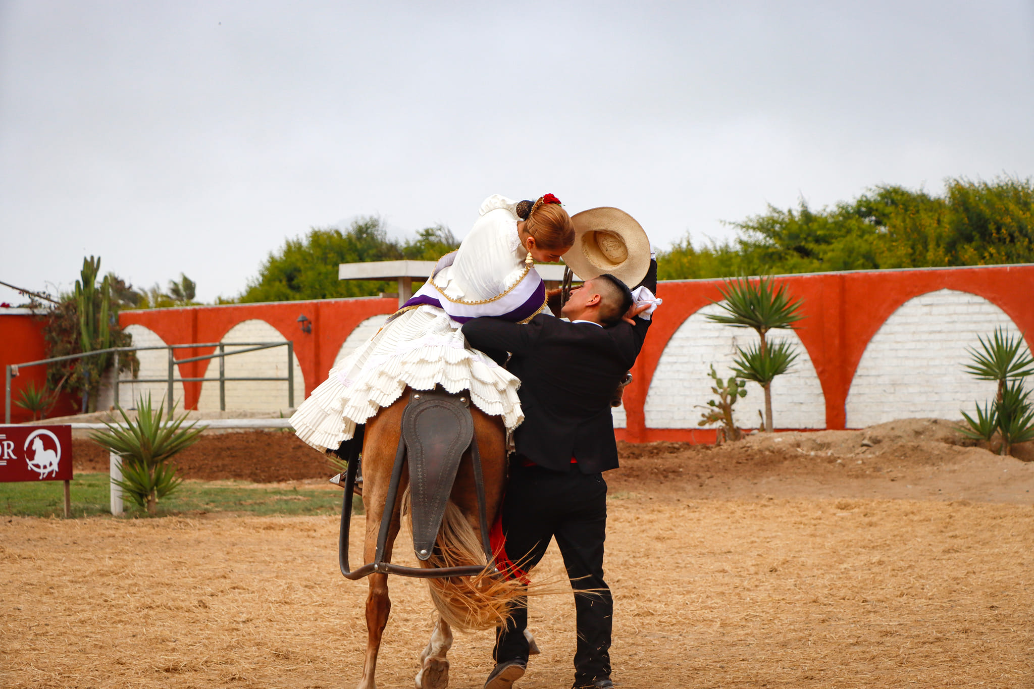 Show De Marinera Y Caballos De Paso