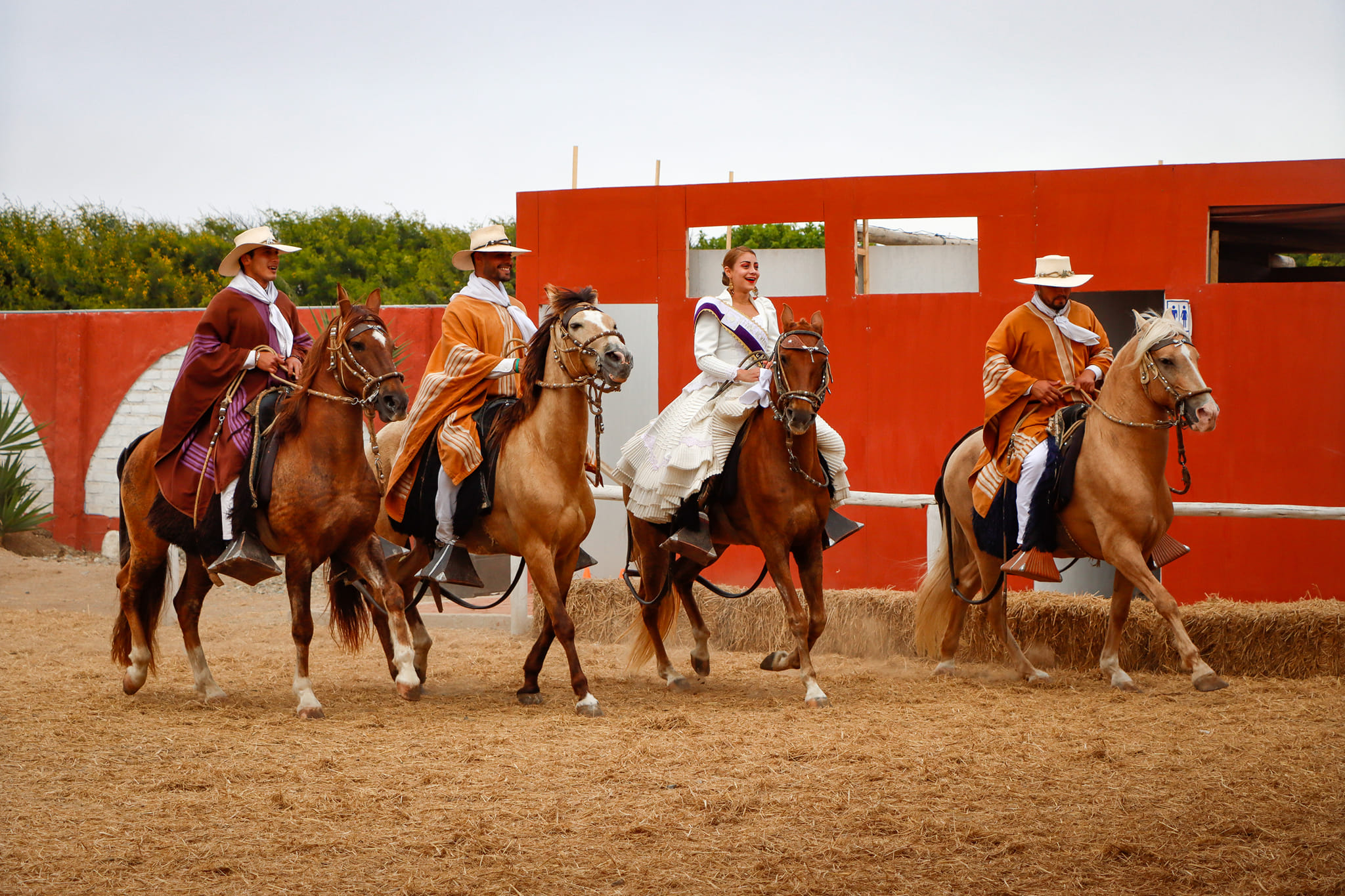 Show De Marinera Y Caballos De Paso