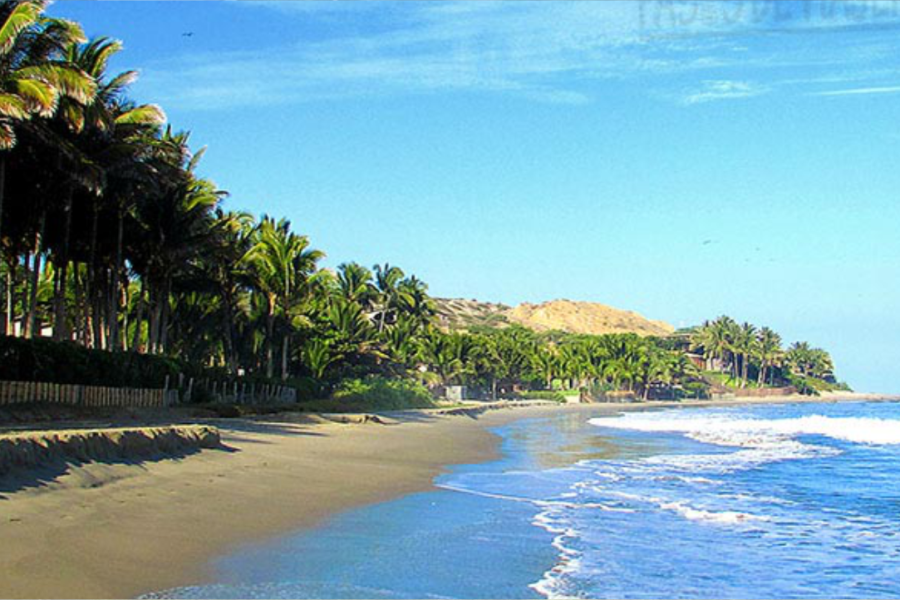 Full Day- Playas Y Manglares