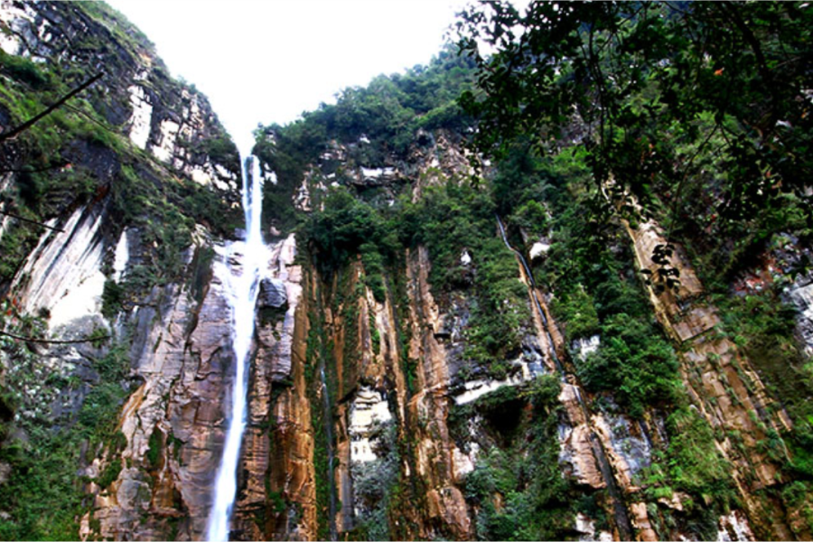 Full Day Catarata de Yumbilla